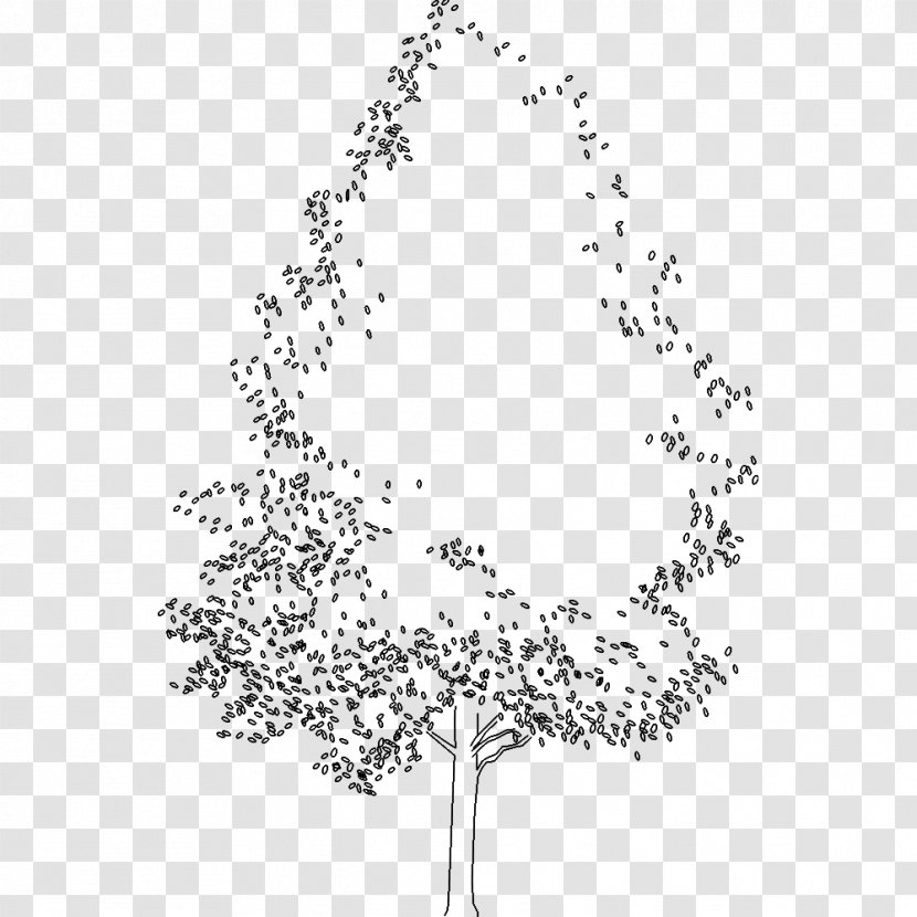 Twig Plant Stem Leaf Line Art Font - Monochrome Photography Transparent PNG