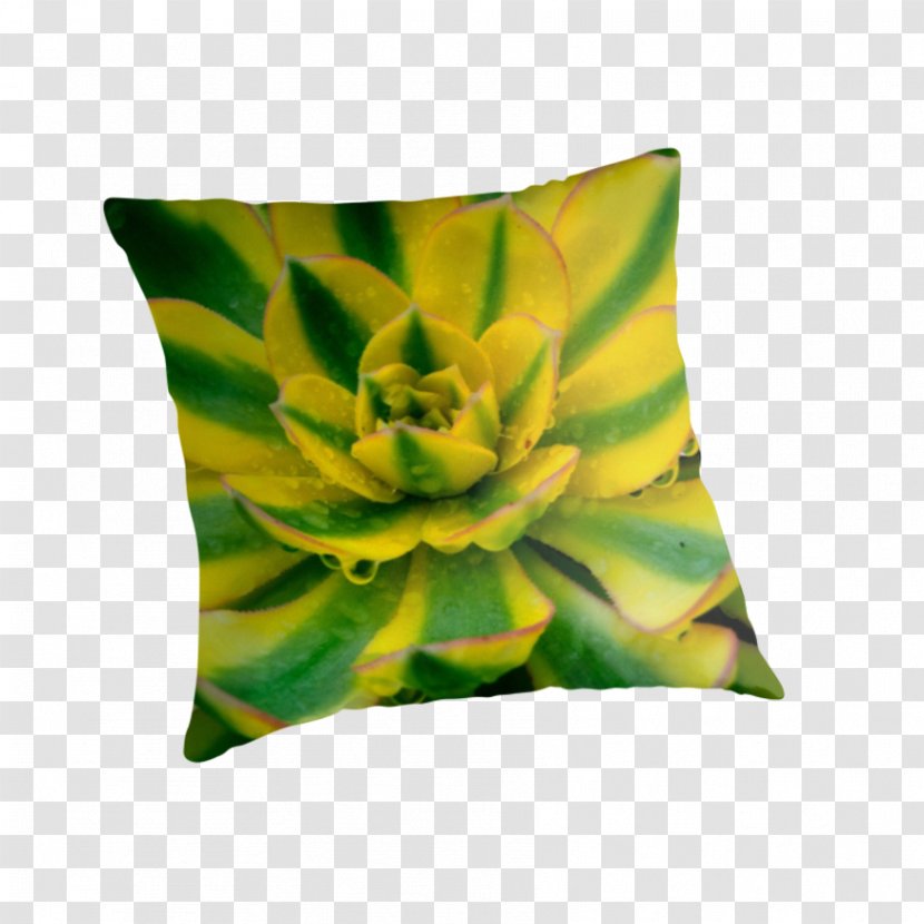 Throw Pillows Cushion Tote Bag Green - Yellow - Echeveria Transparent PNG