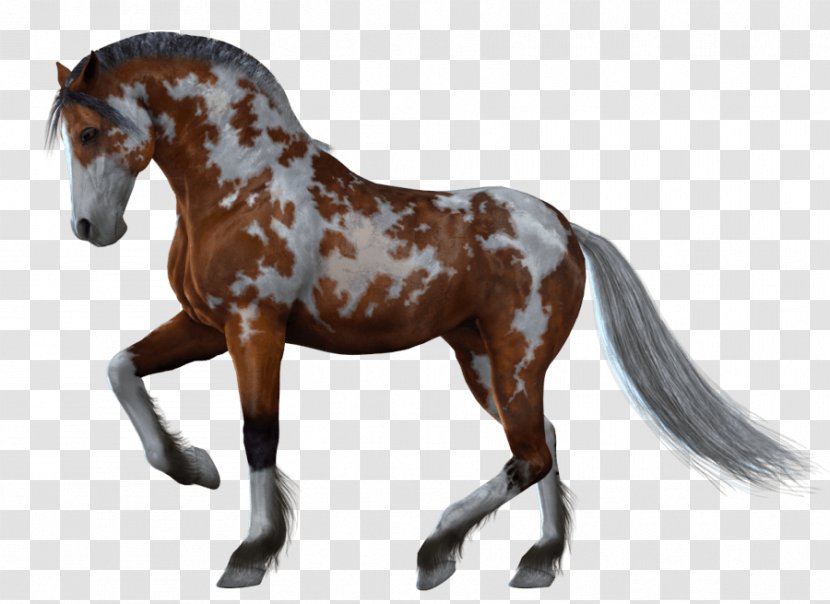 Mustang Stallion Icon - Livestock - Horse Image Transparent PNG