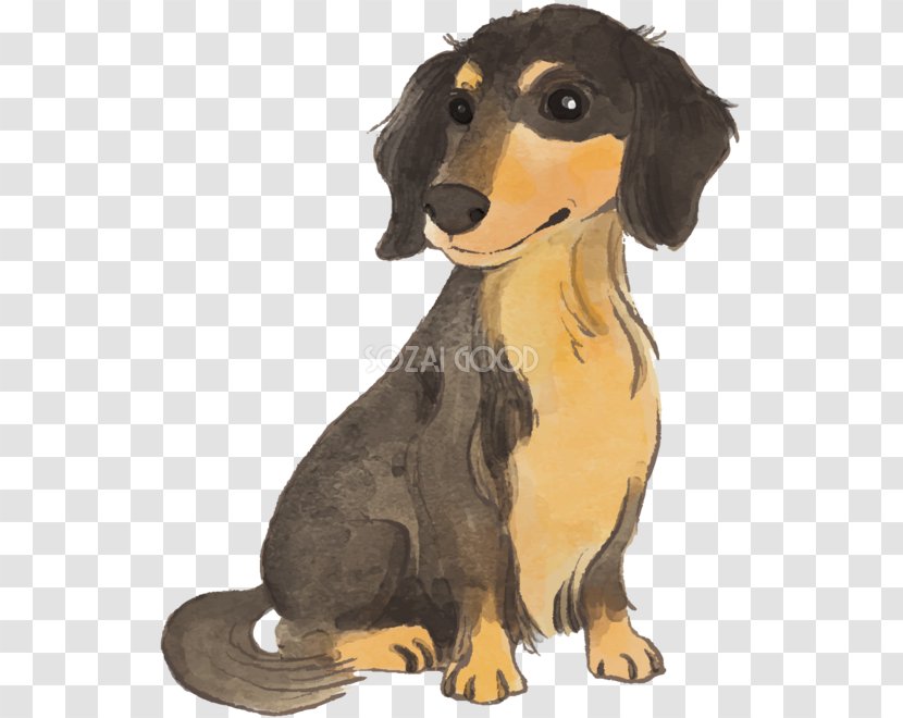 Dachshund Puppy Dog Breed Companion Airedale Terrier - Santa Claus Free Transparent PNG