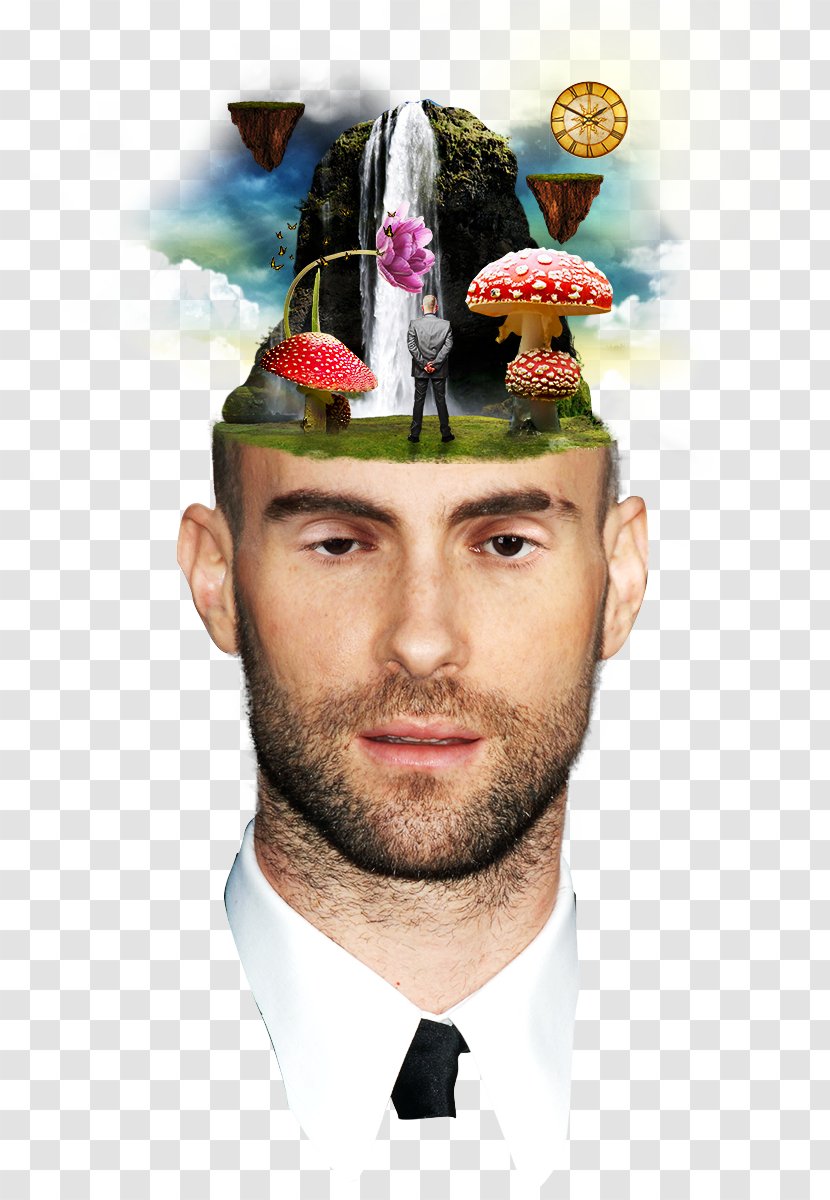 Adam Levine Beard Hat Head Shaving Moustache - Gentleman Transparent PNG