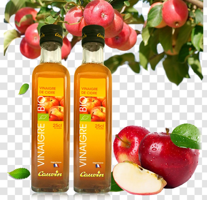 Apple Fruit Auglis - Juice - Cider Vinegar Products In Kind Transparent PNG