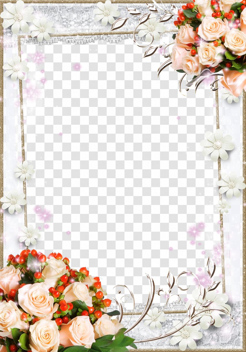 Picture Frame - Rose Family - Mood Pictures Transparent PNG