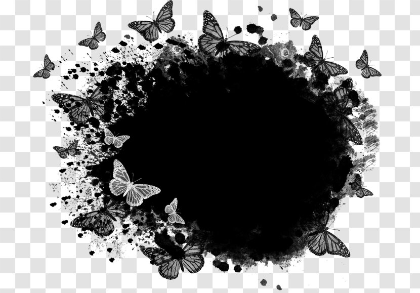 Mask Photography - Monochrome - Black Butterfly Border Transparent PNG