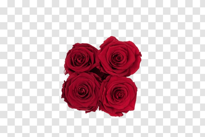 Garden Roses Red Flower Box Cut Flowers - Petal Transparent PNG