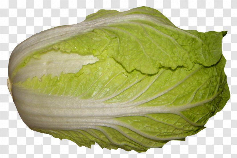 Red Cabbage Romaine Lettuce Napa Transparent PNG