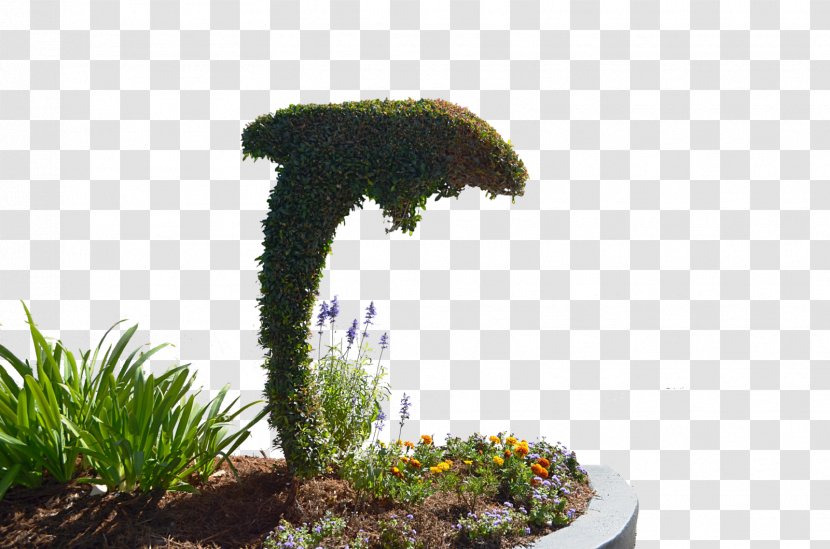 Topiary Stock Photography Shrub - Plant - Share Transparent PNG