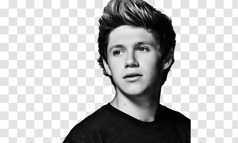 Niall Horan Mullingar One Direction Slow Hands - Eyebrow Transparent PNG