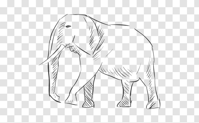 Indian Elephant African Drawing Silhouette Clip Art - Organism Transparent PNG