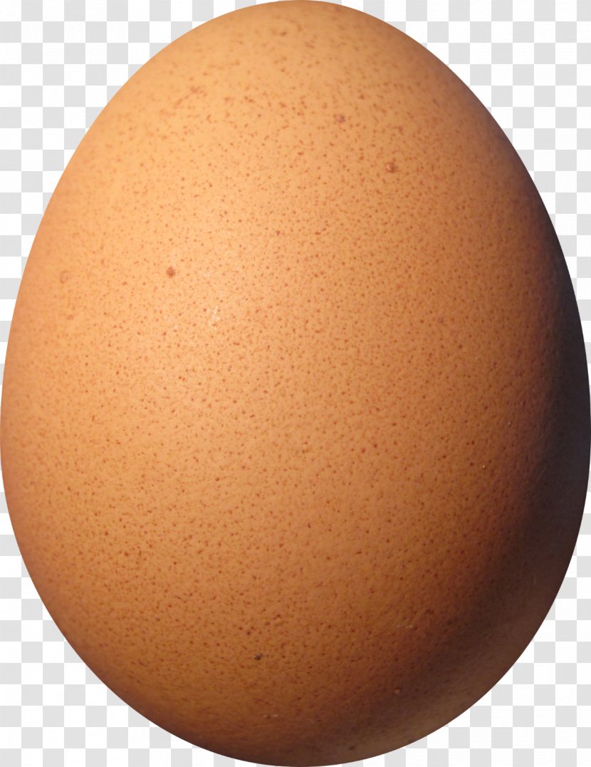 Chicken Scrambled Eggs Hen Boiled Egg - Eating Transparent PNG
