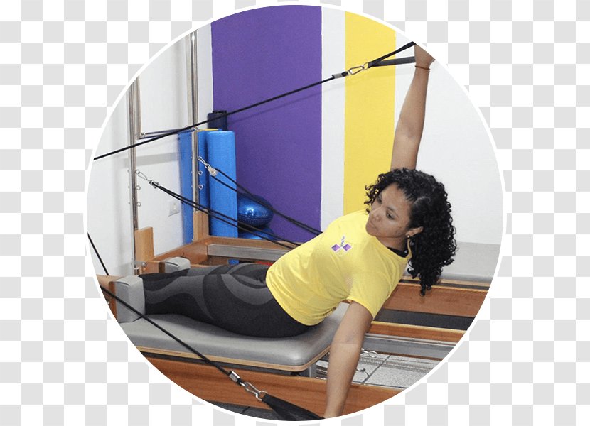 VOLL Pilates Group Espaço Vida Franca Business - Fran%c3%a7a - Ederson Transparent PNG