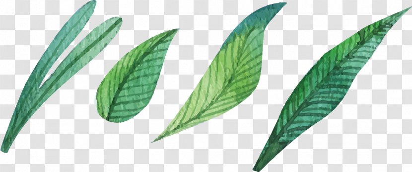 Leaf Watercolor Painting - Plant - Leaves Transparent PNG