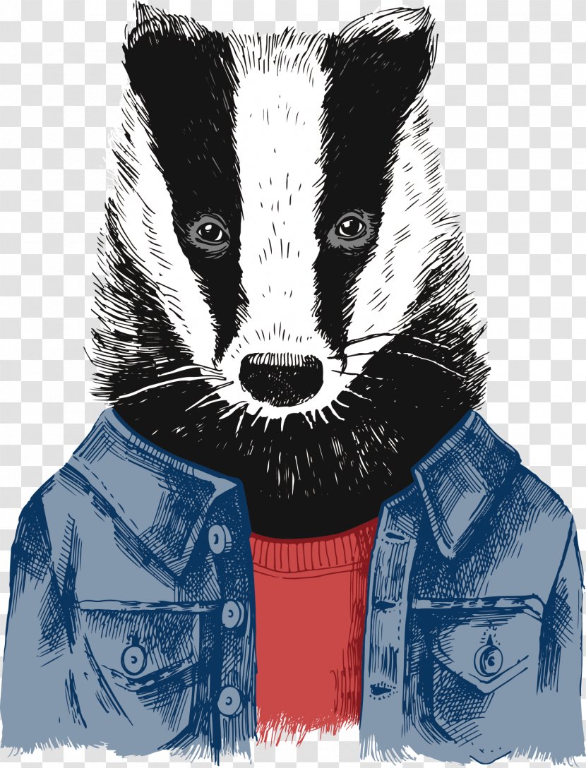 Drawing Stock Photography Illustration - European Badger - Creative Raccoon Vector Transparent PNG