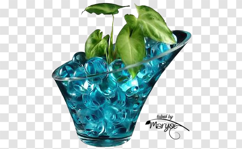 Glass Water Still Life. Pipes Soil Plants - Plant - Beads Transparent PNG