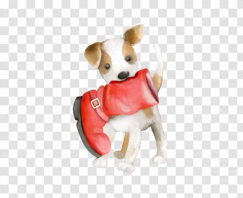 Jack Russell Terrier Puppy Dog Breed Companion - Toy Group - Cute Pictures Transparent PNG