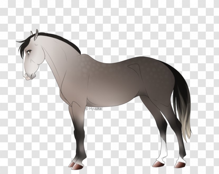 Mane Mustang Stallion Pony Mare - Horse Transparent PNG