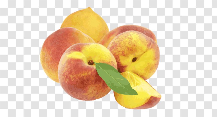Peach Tropical Fruit Vegetable Juice Vesicles - Drupe Transparent PNG