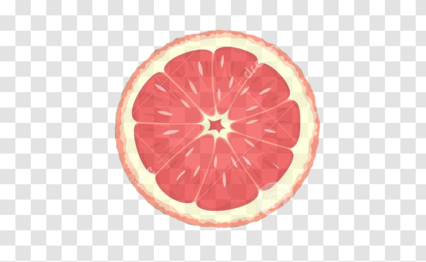 Vector Graphics Illustration Euclidean Blood Orange Royalty-free - Citric Acid - Soup Fruit Transparent PNG