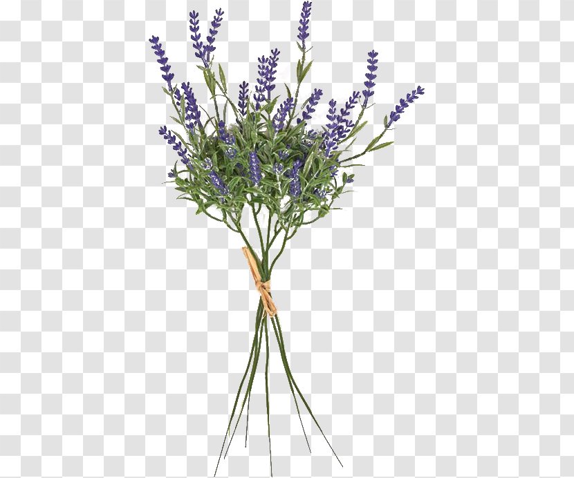 English Lavender French Cut Flowers Plant Stem Twig - Lavanda Transparent PNG