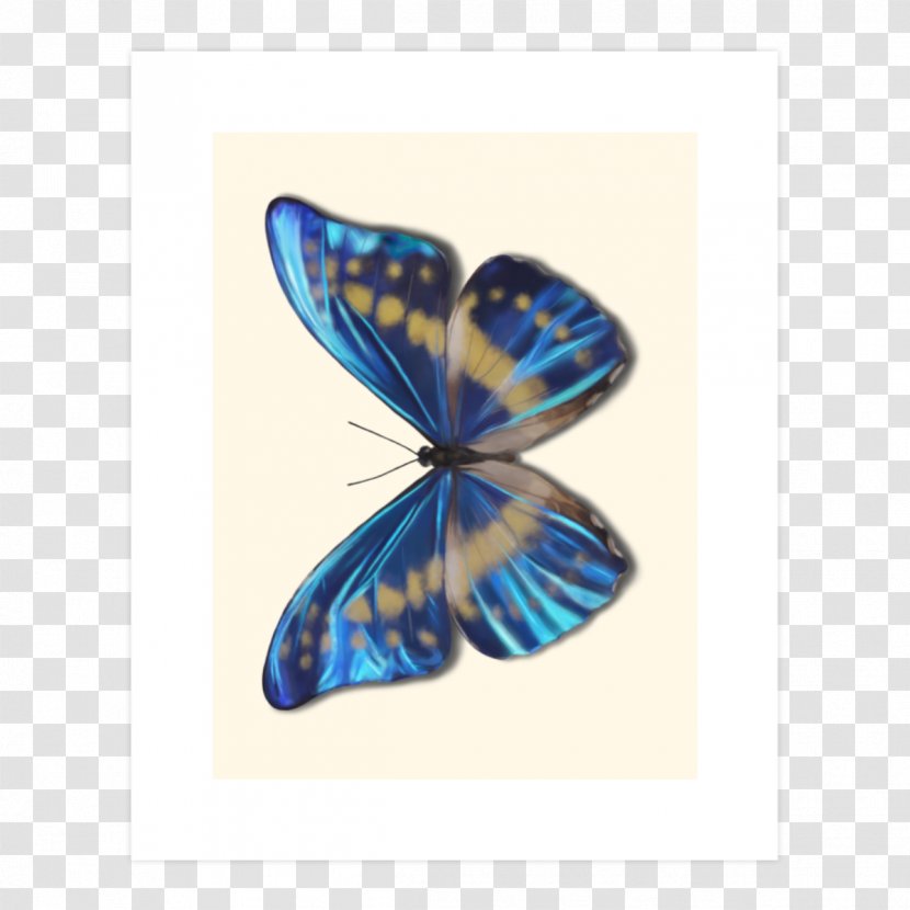 Monarch Butterfly Brush-footed Butterflies Cobalt Blue Transparent PNG