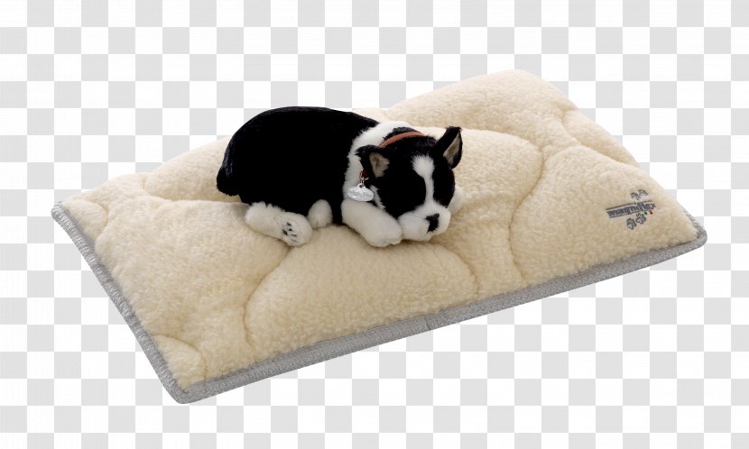 Dog Breed Puppy Bed - Like Mammal Transparent PNG