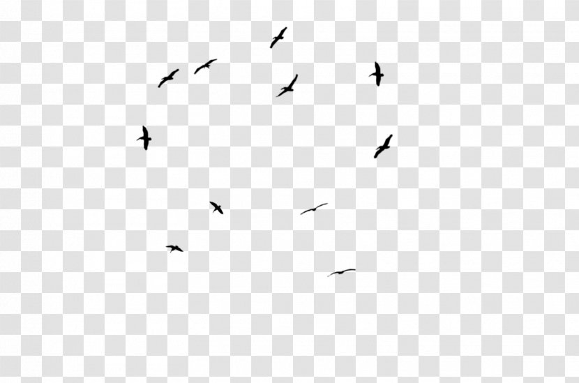 Bird Black And White Sticker Photography - Sky - Flying Transparent PNG