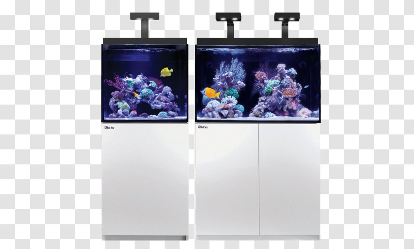 Reef Aquarium Red Sea Protein Skimmer Coral - Display Device Transparent PNG