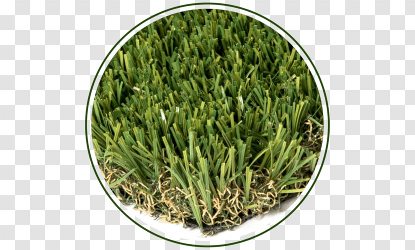 Artificial Flower - Sod Turf - Herb Transparent PNG