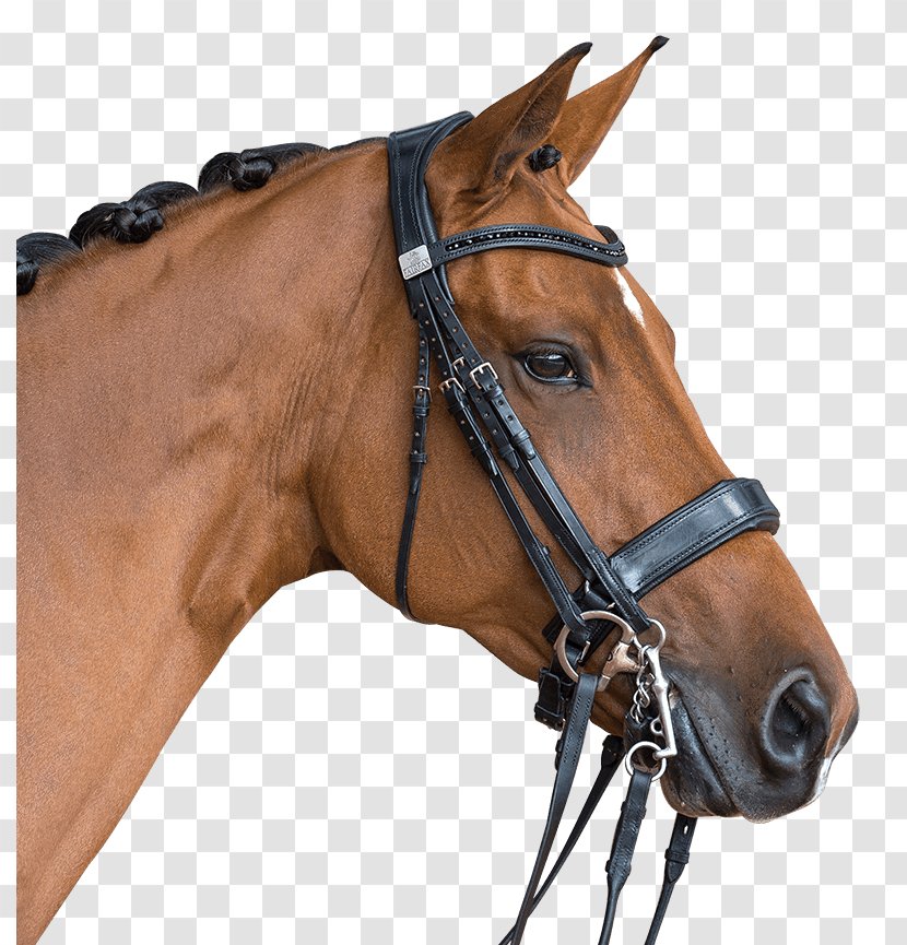 Horse Double Bridle Halter Noseband - Rein Transparent PNG