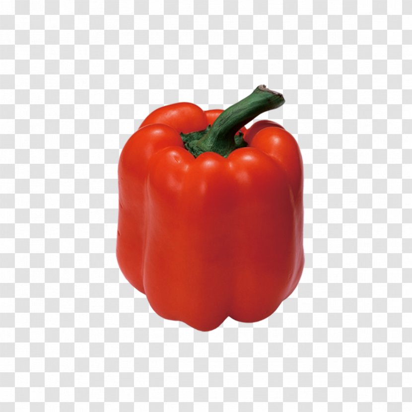 Habanero Bell Pepper Pimiento Chili Vegetarian Cuisine - Nightshade Family - Dwarf Red Transparent PNG