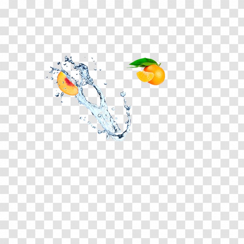 Bird Desktop Wallpaper Water Font - Wing - SODA Transparent PNG