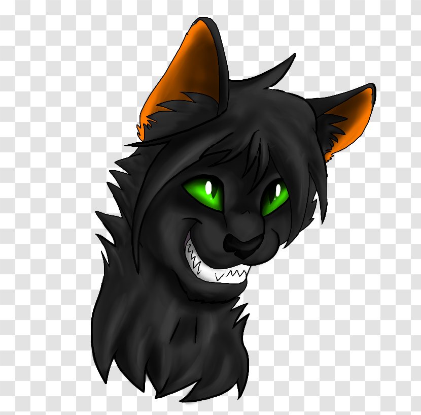 Black Cat Whiskers Snout Transparent PNG