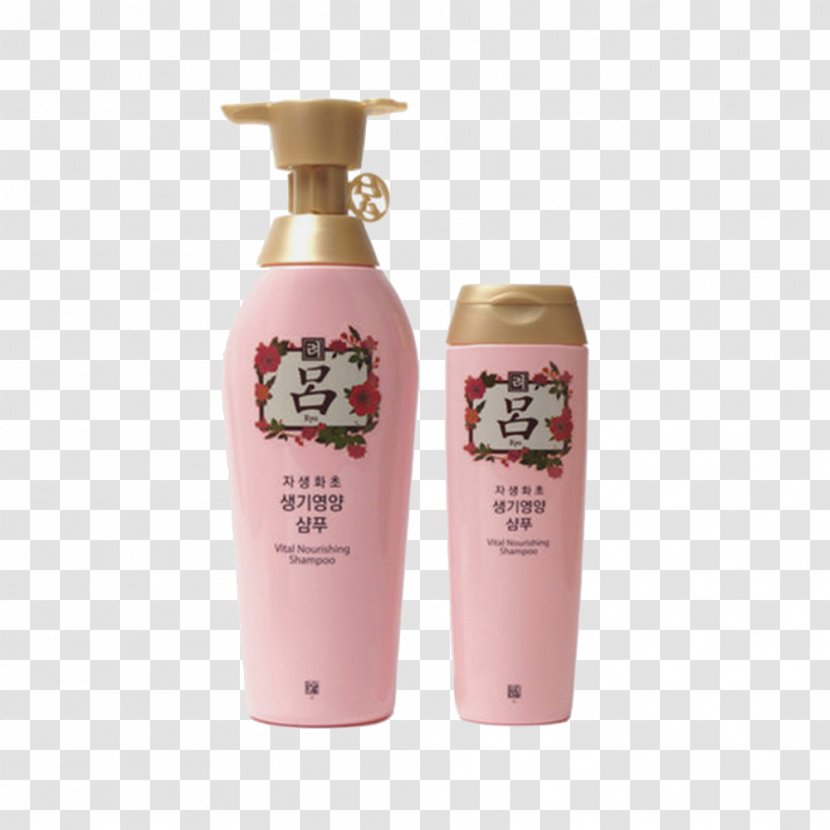 South Korea Shampoo Lip Balm Hair Conditioner Capelli - Cream - Powder Transparent PNG