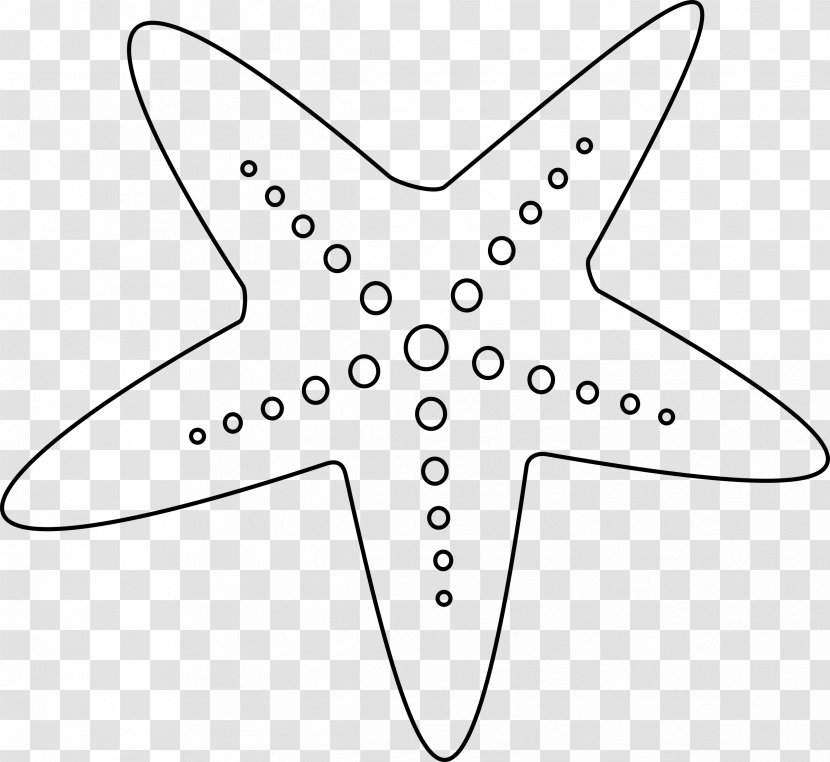 Starfish Black And White Clip Art - Drawing - Sea Star Transparent PNG