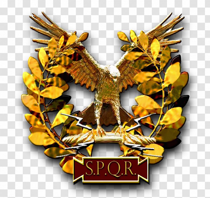 SPQR Aquila Roman Army - Forum - The Story Transparent PNG