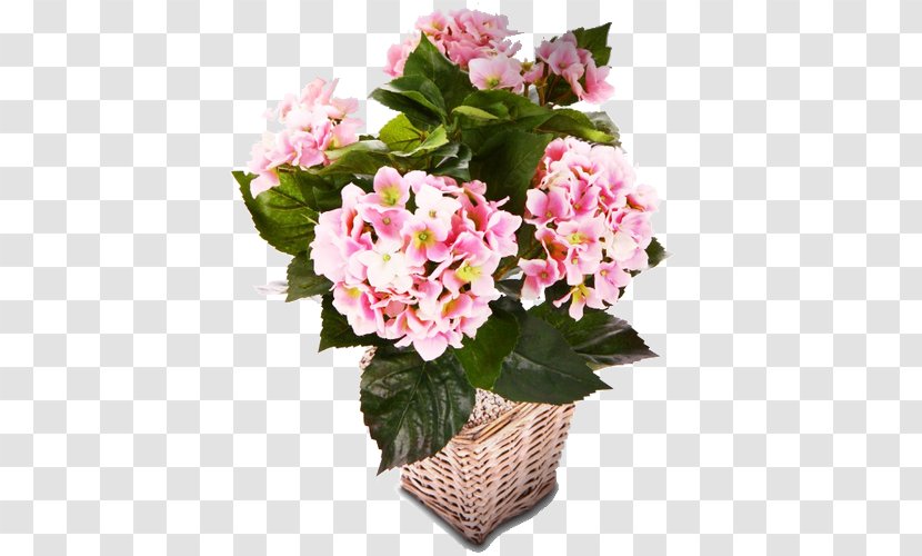 Floral Design Flowerpot Hydrangea Cut Flowers - Vase - Flower Transparent PNG
