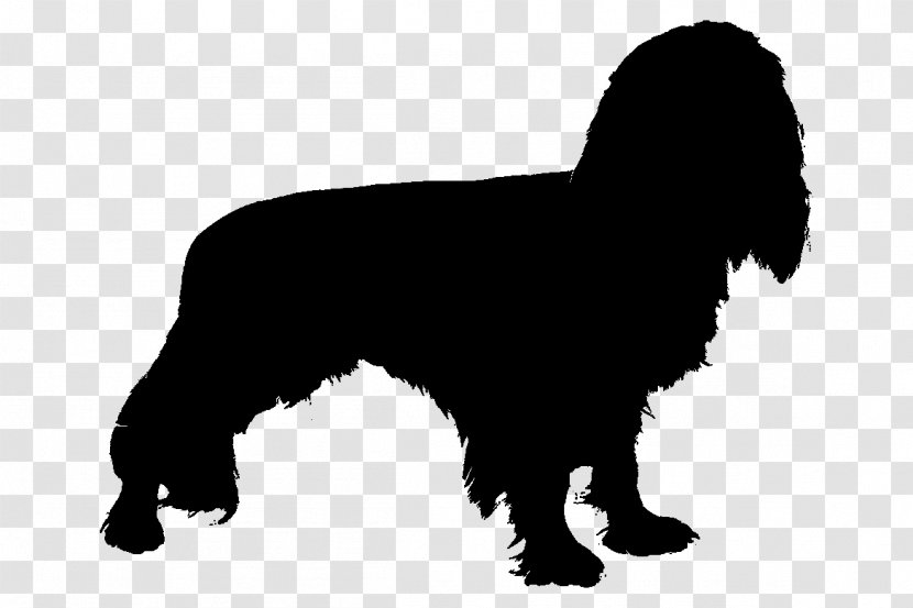 Newfoundland Dog Breed Puppy Spaniel Gun - Companion - Mammal Transparent PNG