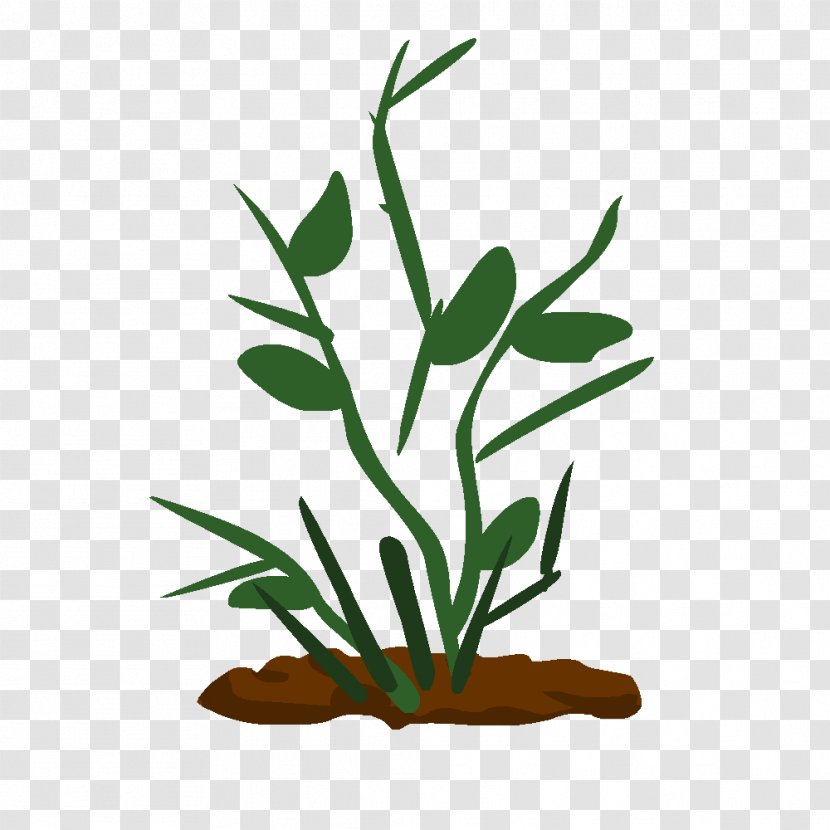 Drawing Technique Plant Stem Clip Art - Tree - Plante Transparent PNG