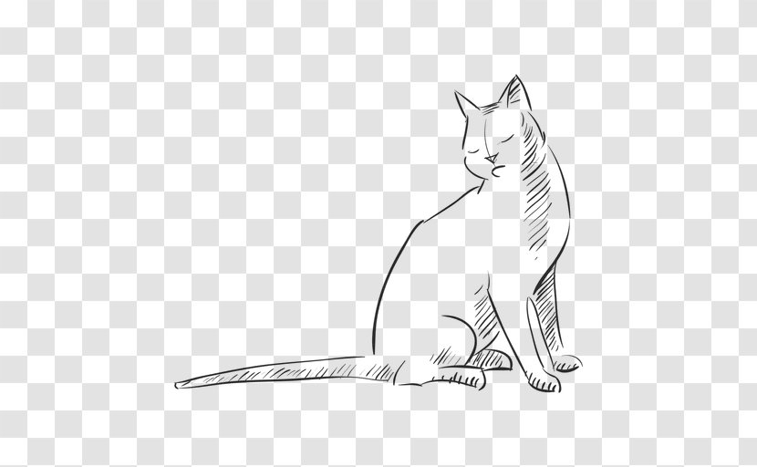 Whiskers Kitten Tabby Cat Domestic Short-haired - Black Transparent PNG