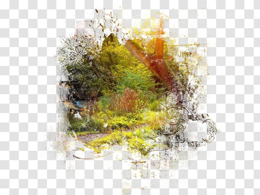 Landscape Painting Drawing Clip Art - Autumn - Paintings Transparent PNG