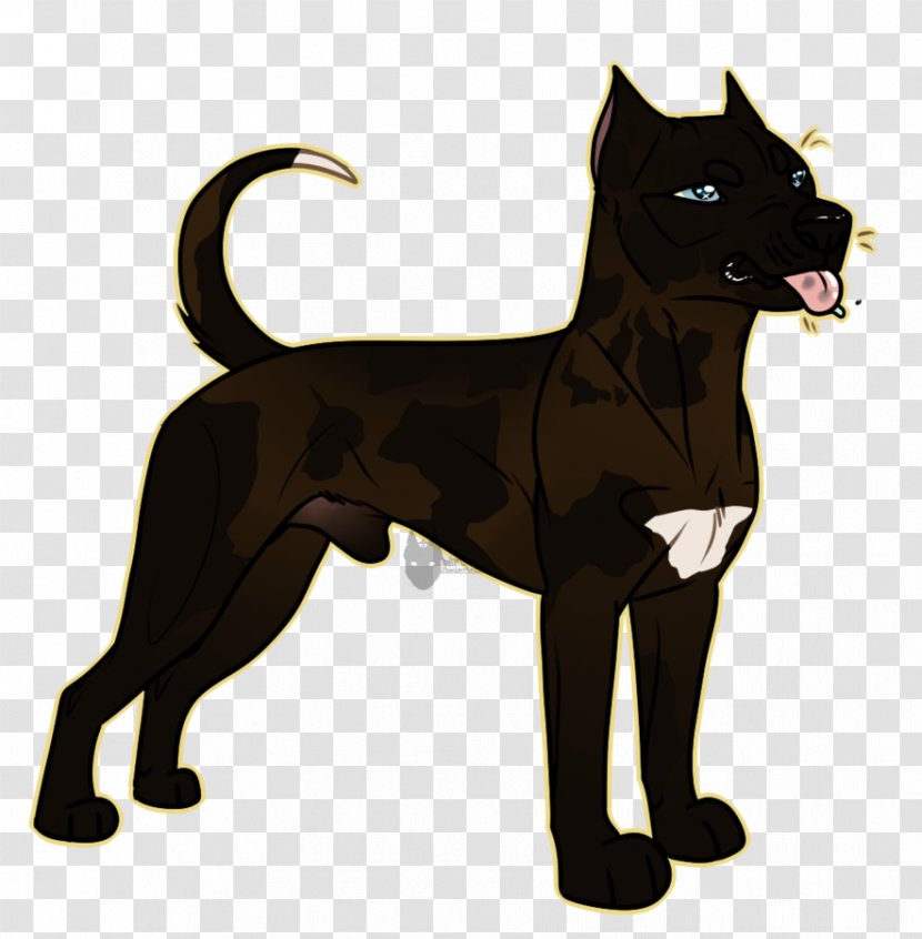Dog Breed Cat Leash Tail Transparent PNG