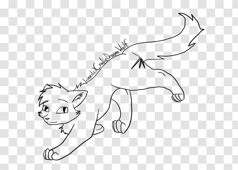 Cat Tail Drawing Sketch - Watercolor Transparent PNG