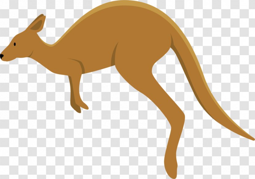 Kangaroo Macropodidae Dingo Koala Clip Art - Wallaby Transparent PNG