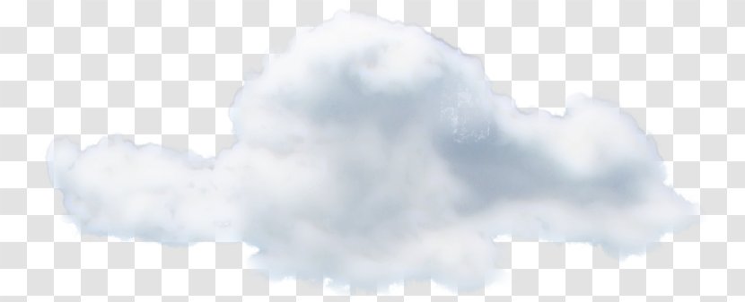 Cumulus Sky Plc - Tree - Drifts Transparent PNG
