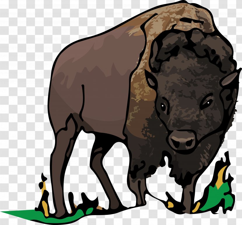 Bison Bull Bear Cattle Clip Art - Organism Transparent PNG