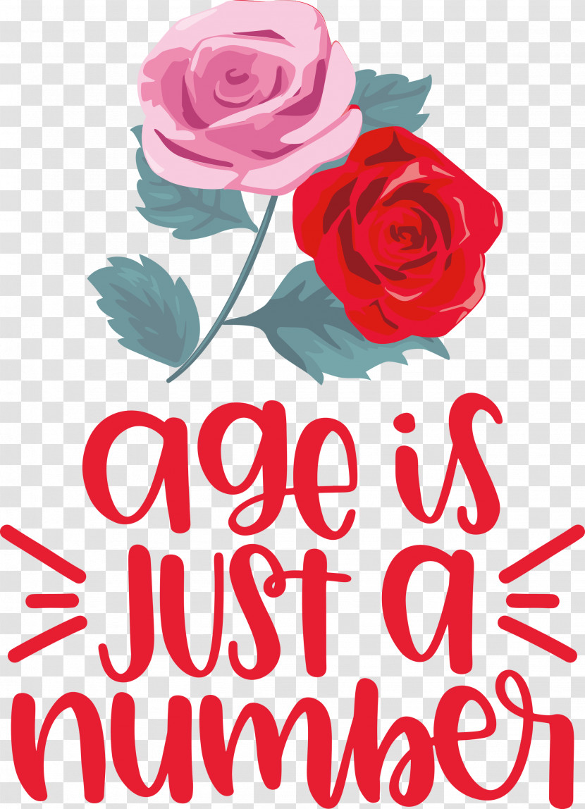 Birthday Age Is Just A Number Transparent PNG