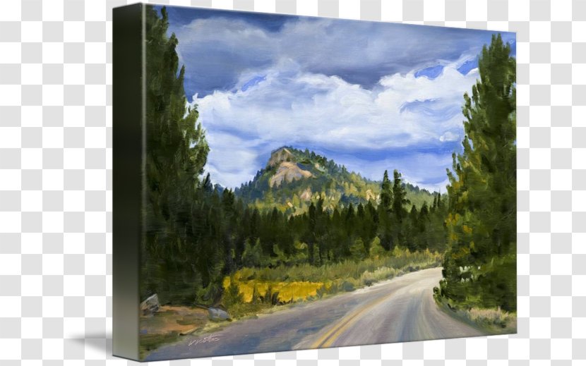 Sequoia National Park Mount Scenery Wilderness Painting Nature - Cloud Transparent PNG