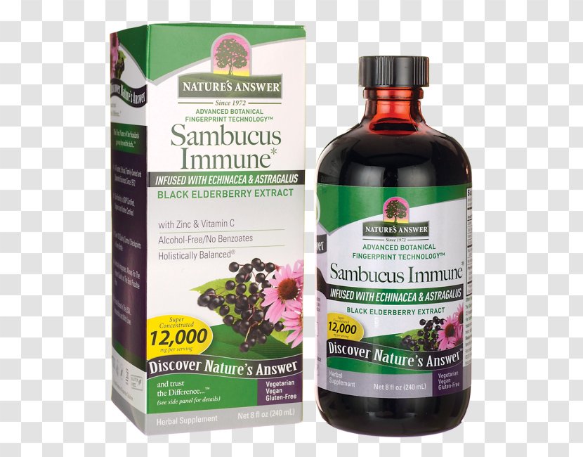Elder Immune System Nature Extract Dietary Supplement - Elderberries Transparent PNG