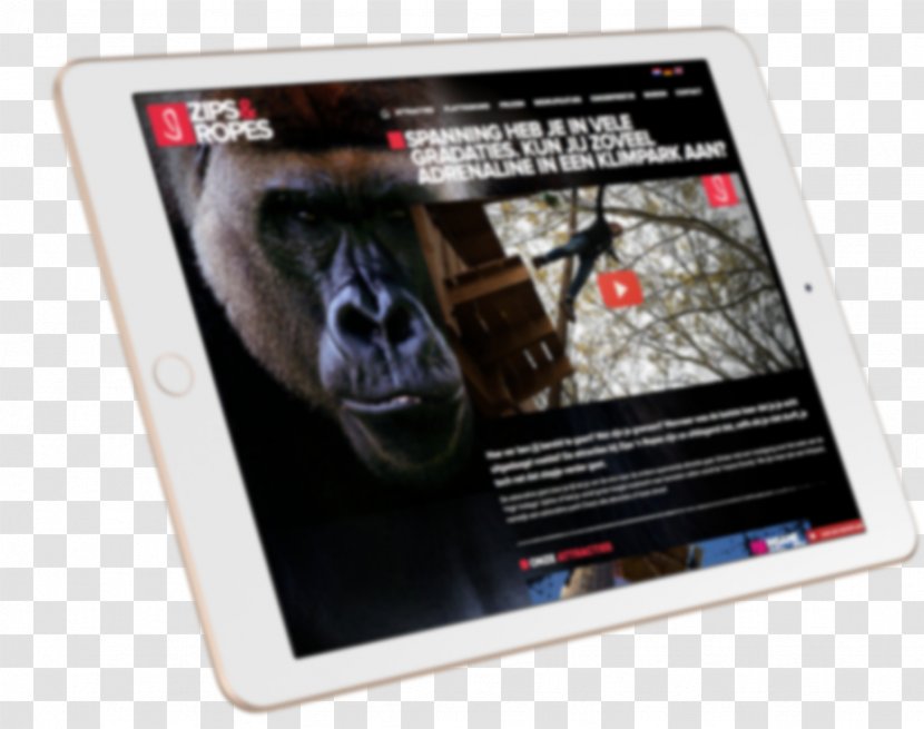 Gorilla Electronics Gadget Multimedia Poster Transparent PNG