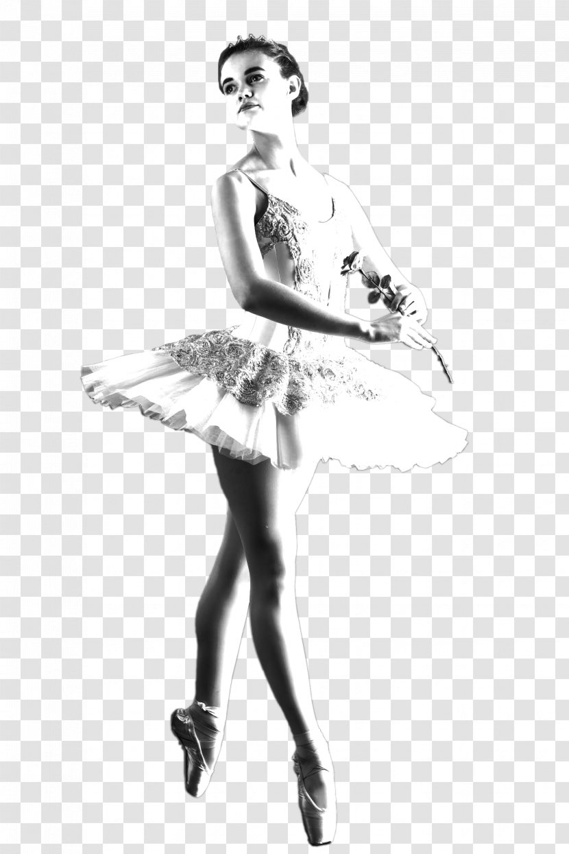 Tutu Dance Ballet Costume Performing Arts - Cartoon - Swan Transparent PNG